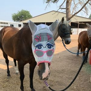 Meet your Posher, Tina